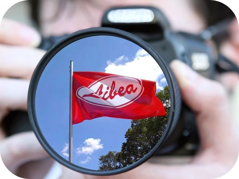 VLASTNÍ VLAJKA V SOULADU S VEXILOLOGICKÝMI PRAVIDLY?