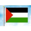 palestina vlajka na karabiny