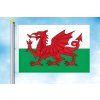 wales vlajka na karabiny