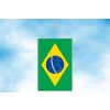 brazilie stolni vlajecka svisla