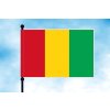 guinea stolni vlajecka vodorovna