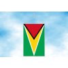 guyana stolni vlajecka svisla