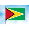 guyana stolni vlajecka vodorovna