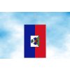 haiti stolni vlajecka svisla