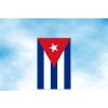 kuba stolni vlajecka svisla