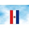 paraguay stolni vlajecka svisla