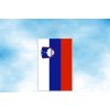 slovinsko stolni vlajecka svisla