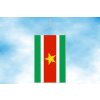 surinam stolni vlajecka svisla
