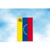 venezuela stolni vlajecka svisla