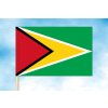guyana vlajka navlek