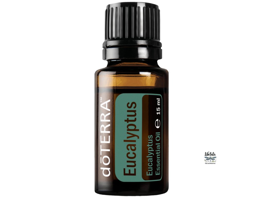 eucalyptus15ml large 500x1350 eu