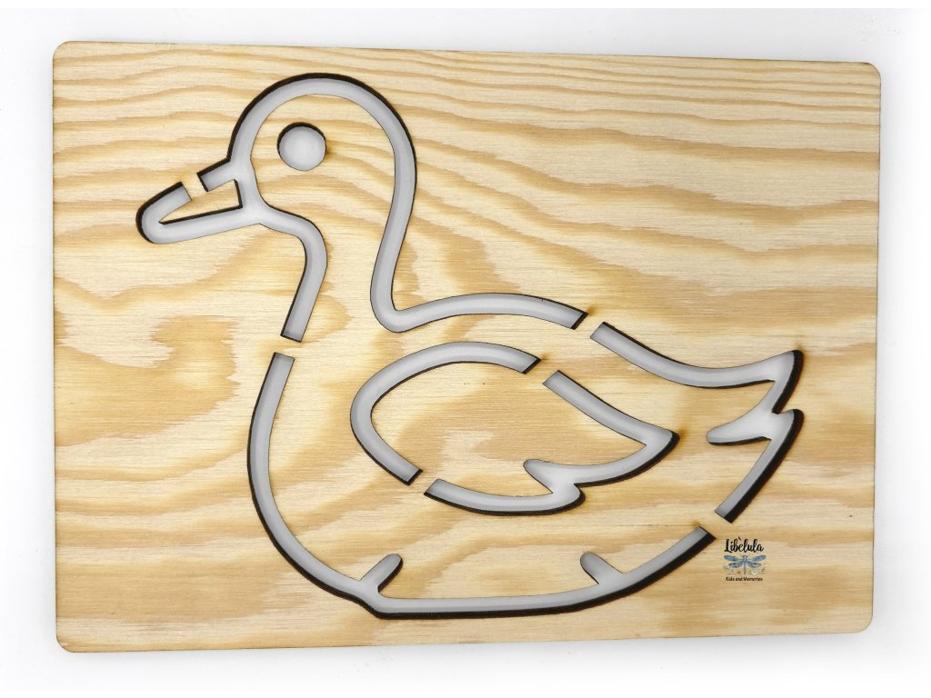 Šablóna na kreslenie - Vtáky - Labuť (Veľkosť šablóna Veľký formát (cca. A4))