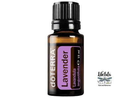 lavender15ml large 500x1350 eu