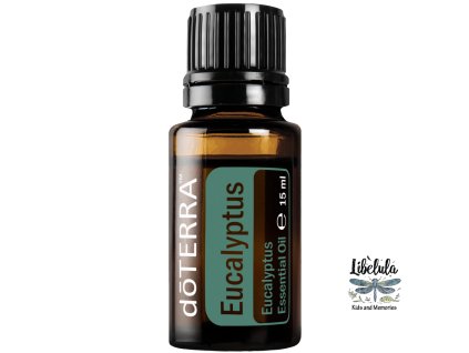 eucalyptus15ml large 500x1350 eu