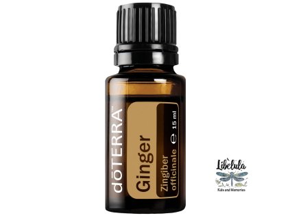 ginger15ml large 500x1350 eu