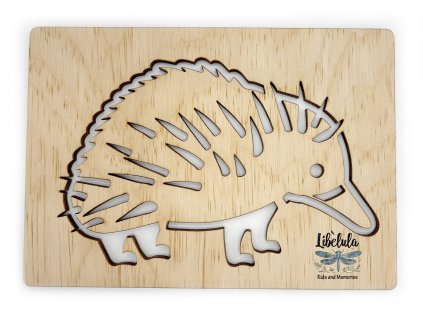 Šablóna na kreslenie Austrália -  Ježura krátkouchá