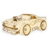 2068 paintme drevena omalovanka auta tuning muscle car