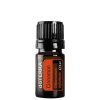 cinnamon5ml large 404x1350 eu