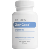 zengest digesttab large 1720x1350