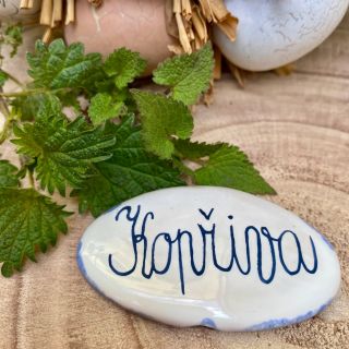 Pěstujete na zahrádce kopřivu? A můžeme ji vidět? 🧐🌿 Kopřiva. Pro mnohé „plevel“, pro generace našich babiček uznávaná...