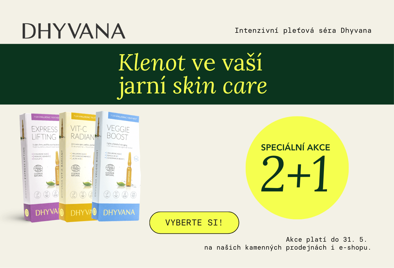 DHYVANA 2+1
