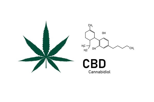 Latin-America-paves-the-way-for-CBD-cosmetics_wrbm_large