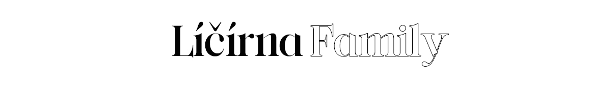 SLUŽBYBANNER27