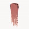 Nudes Lipsticks Serene Swatch Grey