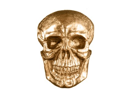 BC Upload d0b8b92f 056c 459d bd44 0f51557d8005