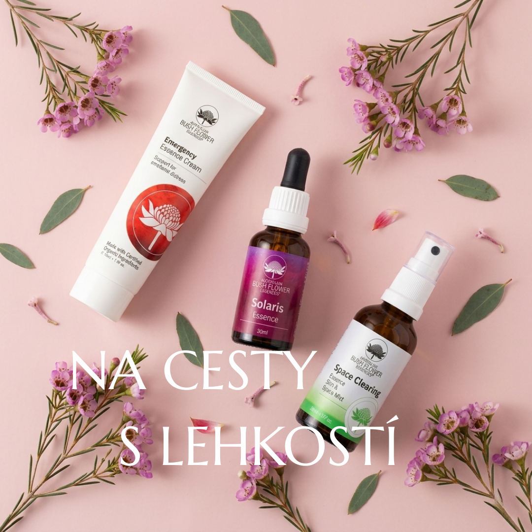 BALÍČEK PRVNÍ POMOCI NA CESTY A DOVOLENOU