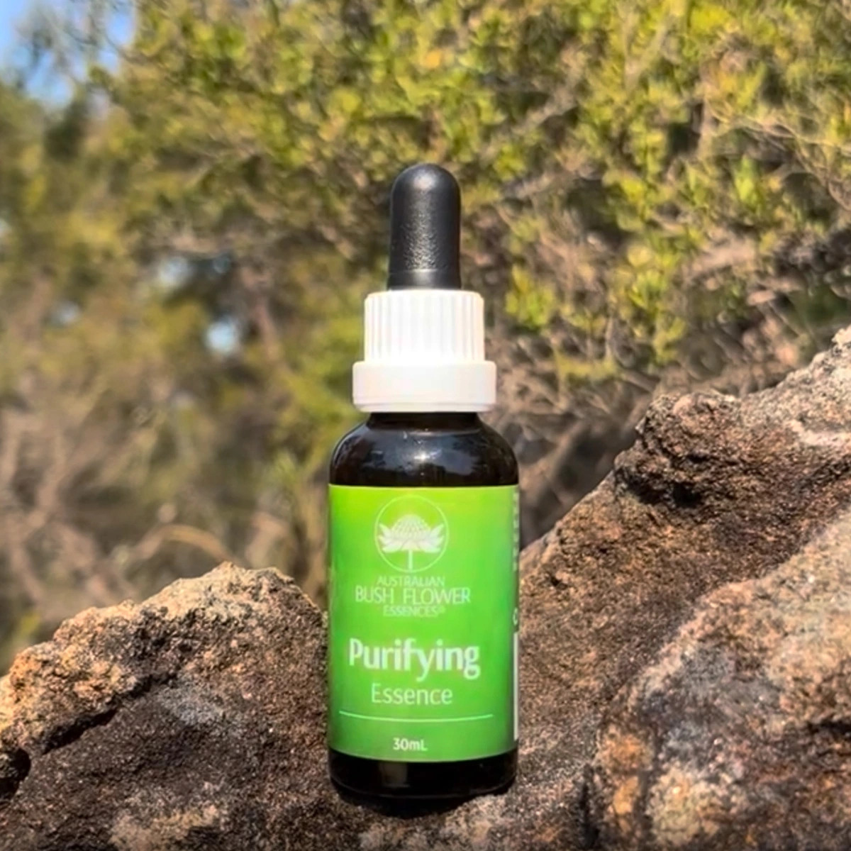 JARNÍ OČISTA TĚLA  PROBUZENÍ VITALITY A VNITŘNÍ ROVNOVÁHY