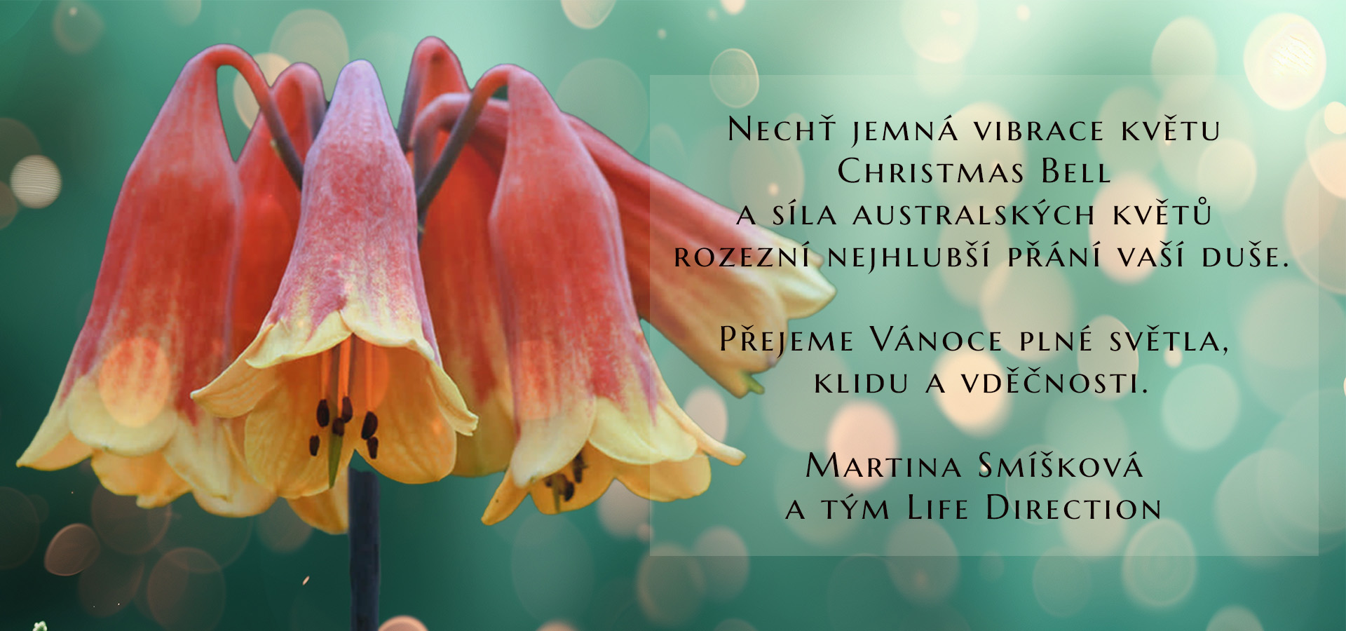 Vánoční balíčky a novinky