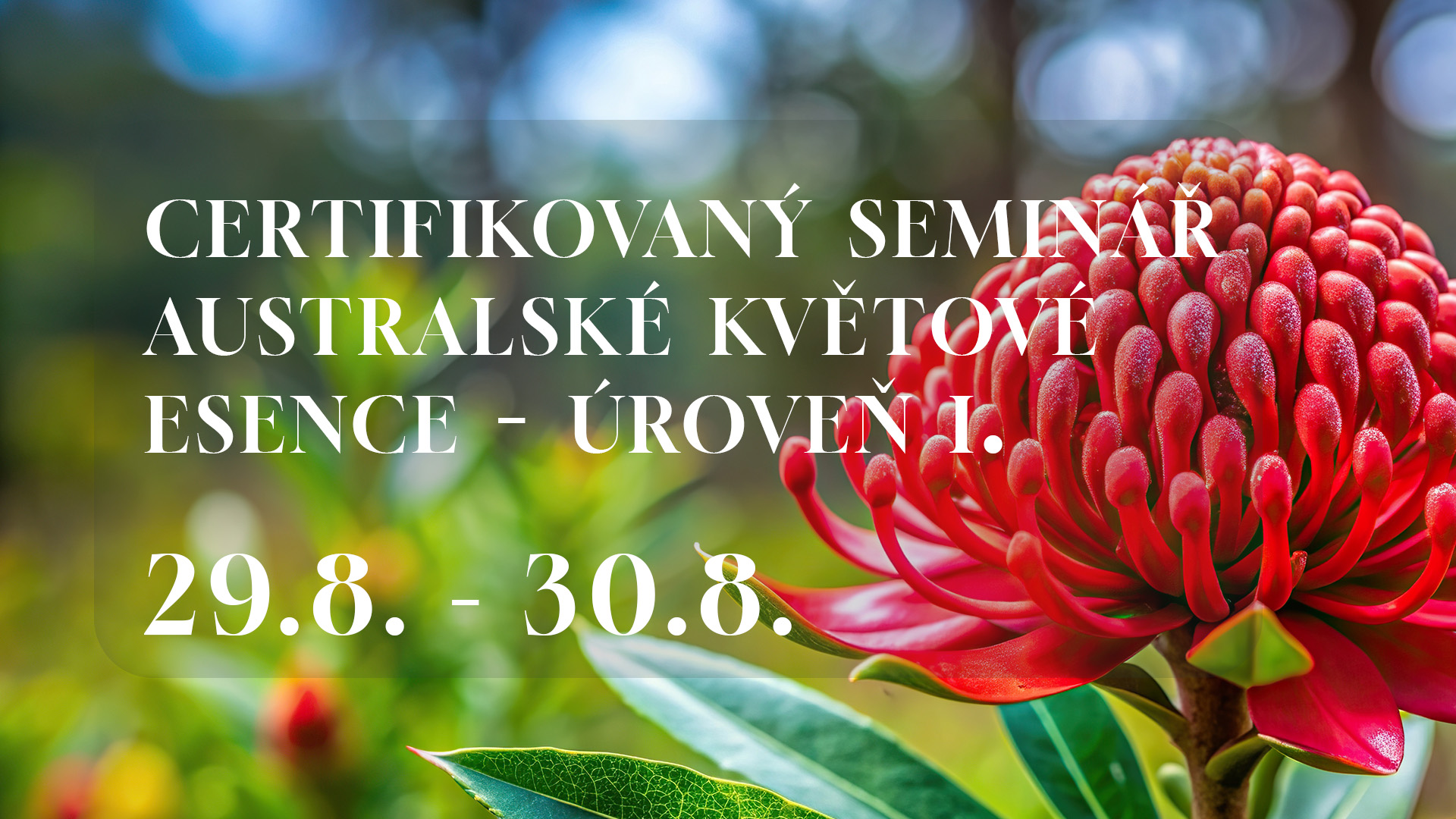Seminář ABFE I