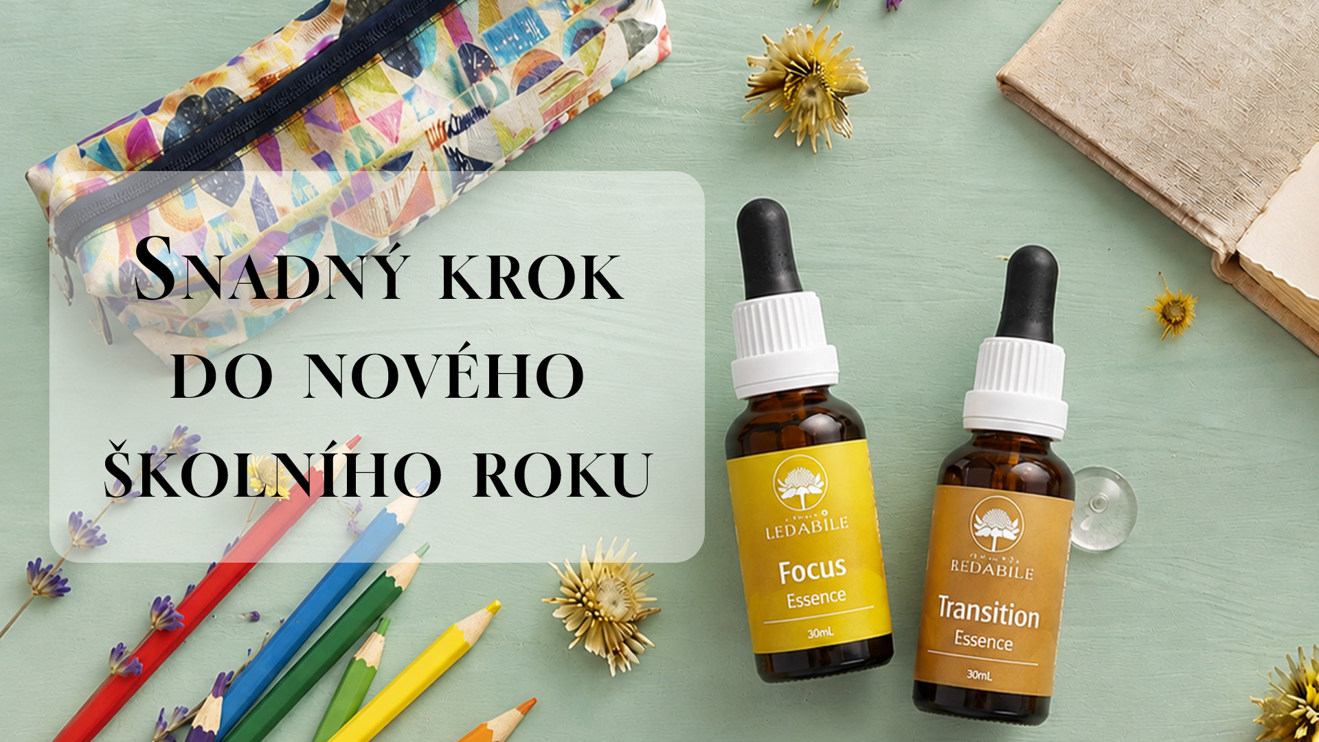 Školní rok