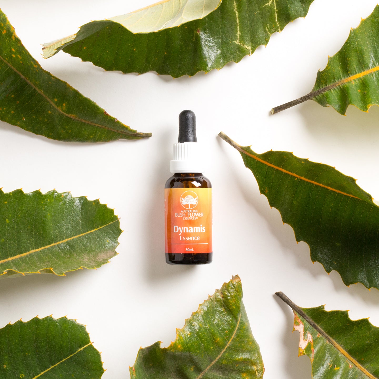 ABFE260819-426_Dynamis_Drops_lifestyle01_720x@2x-2