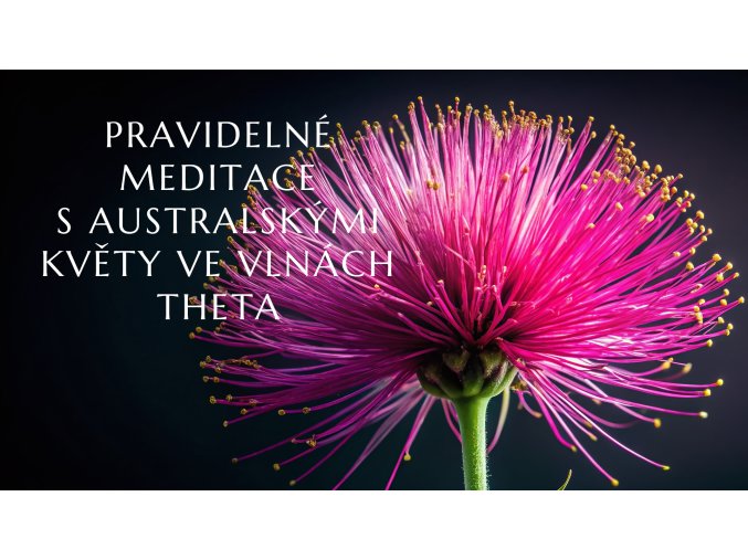 Banner web ABFE pravidelne meditace