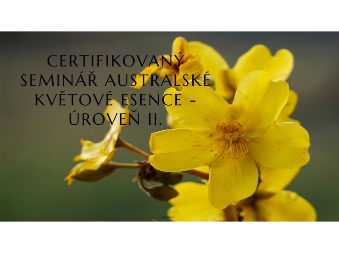 Banner web ABFE uroven II