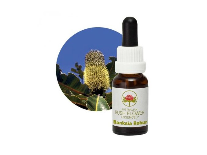 banksia