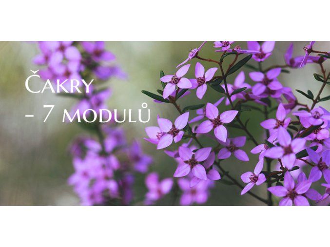 Čakry 7 modulů