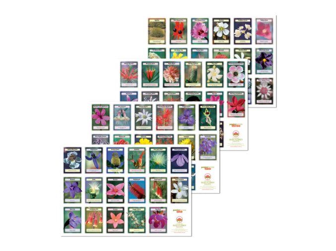 4024 AU Insight Posters 4pack image02 720x