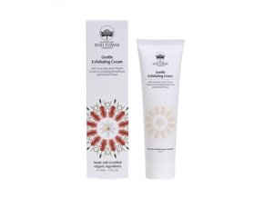 6202 au gentle exfoliating cream web 440x600 0