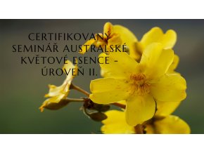 Banner web ABFE uroven II