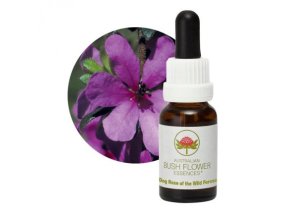 dog rose v.f.