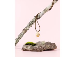 scs abfe may25 55 Confid Lifestyle