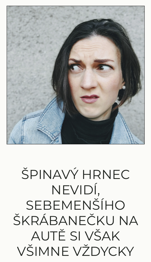Anna Kamenická