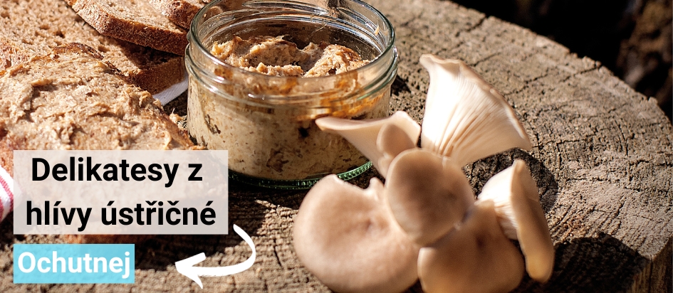 Delikatesy z hlívy