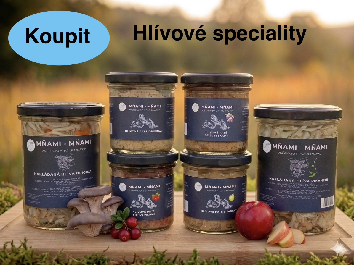Delikatesy z hlívy