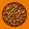 granola cinnamon miska BG