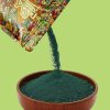 spirulina copy sypani
