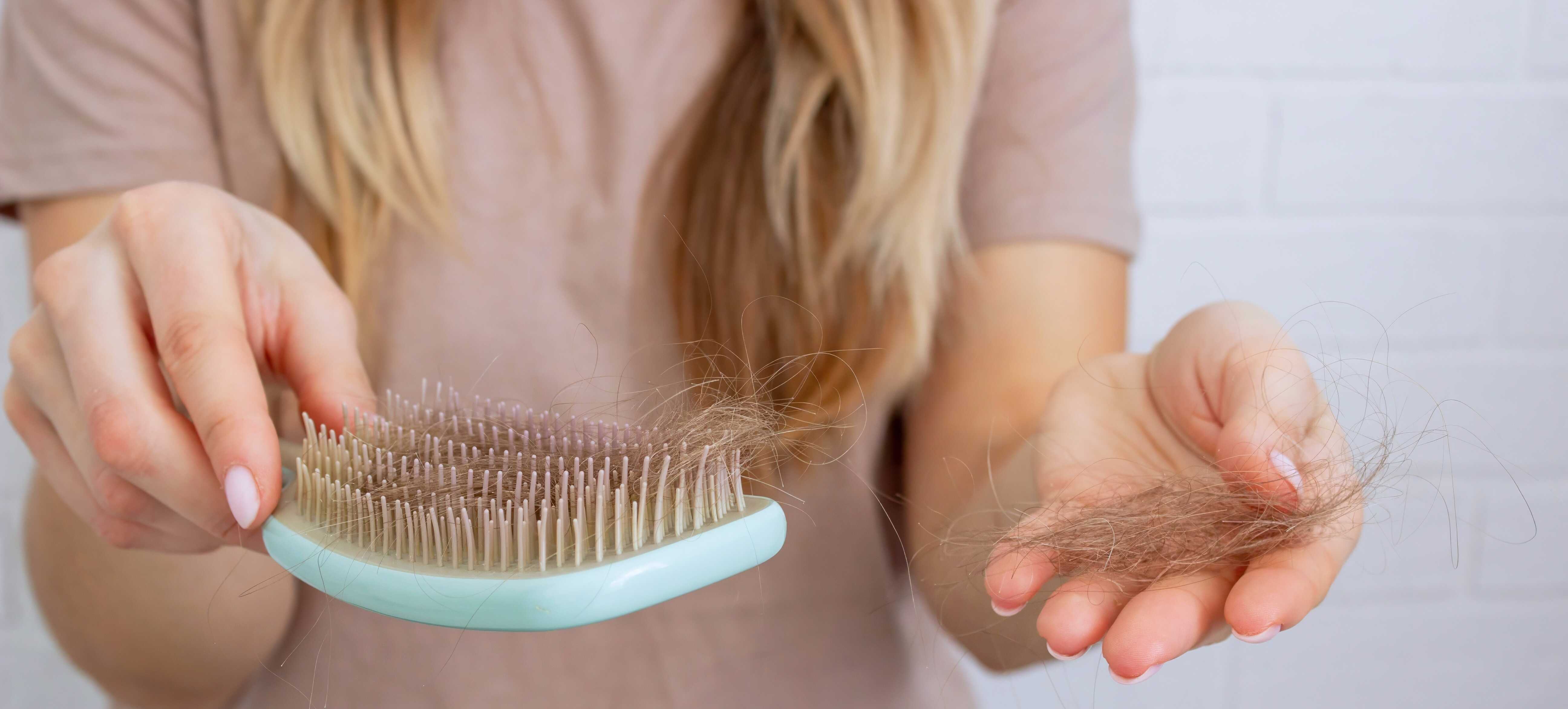 shutterstock_2591965139_optimized(1)